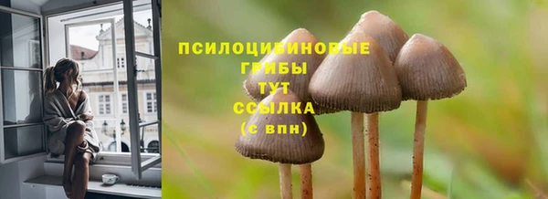 mdpv Богородицк